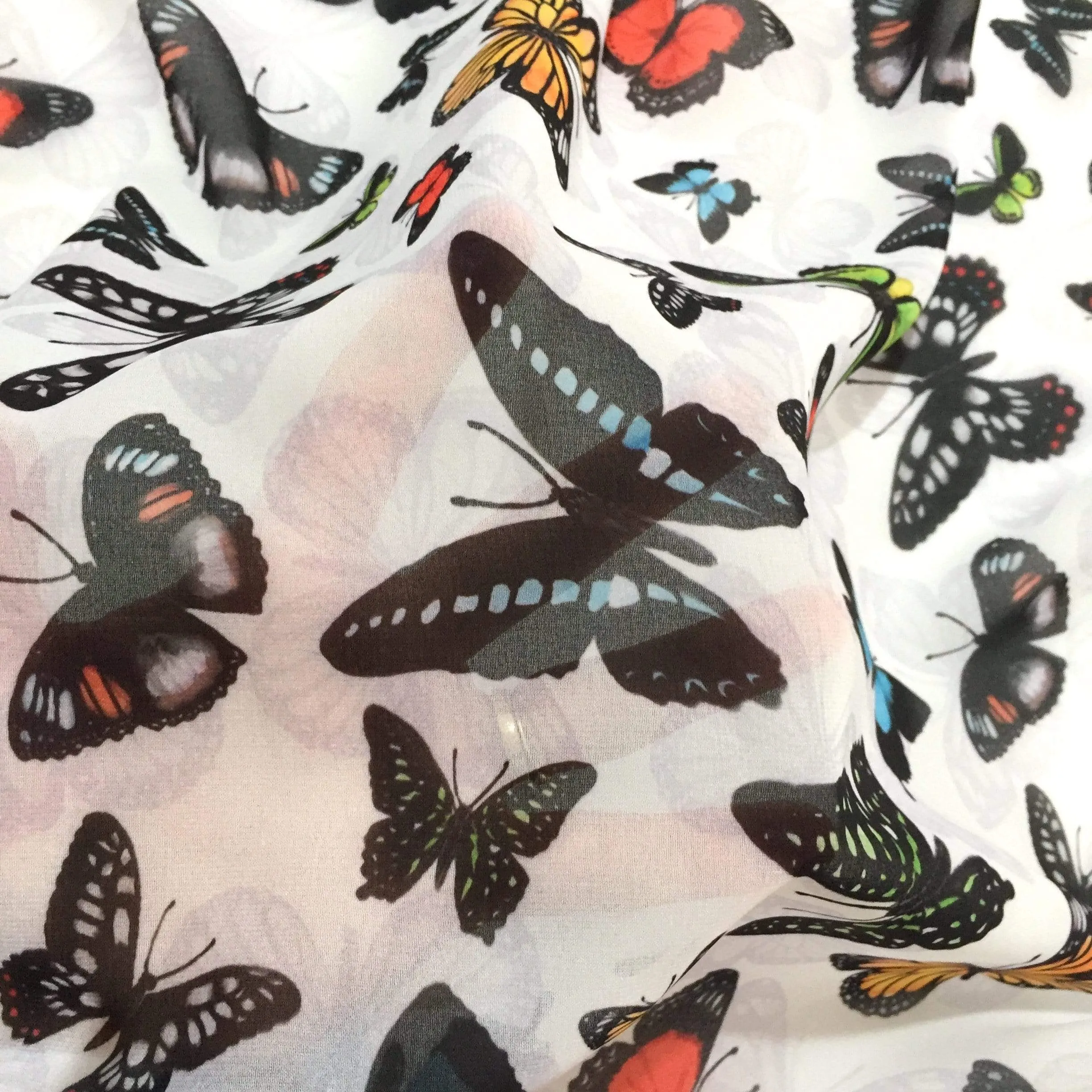 Butterflies of Australia Scarf